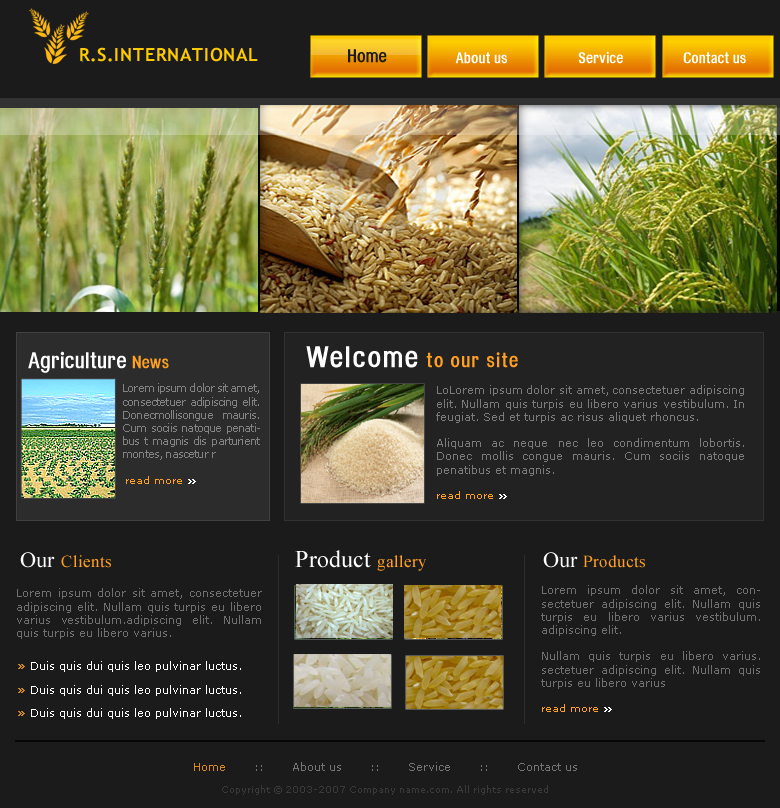 Website Design Company